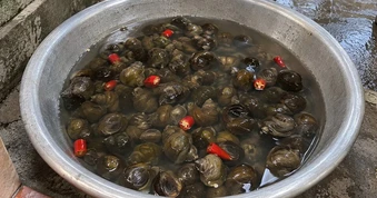 Vì sao nên thả vài quả ớt vào nước ngâm ốc?