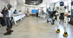 Viện dưỡng lão rộng 1.100m² với công nghệ robot hỗ trợ chăm sóc người cao tuổi