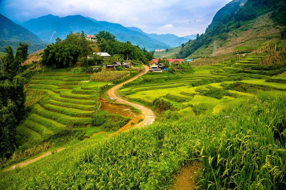 Việt Nam có ngôi làng cổ được đề cử Làng du lịch tốt nhất thế giới Việt Nam có ngôi làng cổ được đề cử Làng du lịch tốt nhất thế giới