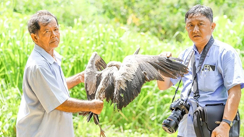 Vĩnh Long chung tay bảo vệ vườn chim vạc quý hiếm Vĩnh Long chung tay bảo vệ vườn chim vạc quý hiếm