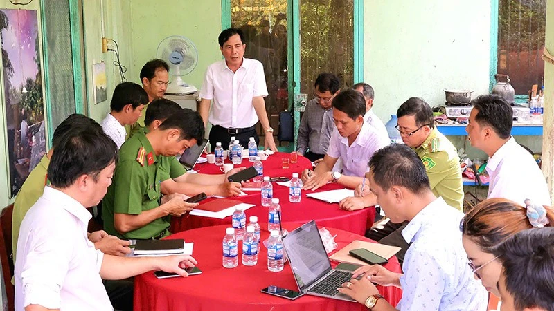 Vĩnh Long chung tay bảo vệ vườn chim vạc quý hiếm Vĩnh Long chung tay bảo vệ vườn chim vạc quý hiếm