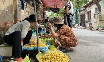 Vòng lặp 'đuổi - chạy' ở chợ cóc Hà Nội