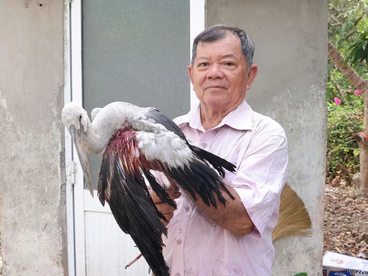 Vụ chủ vườn chim Hai Chìa cầu cứu: Địa phương vào cuộc, tìm phương án bảo vệ Vụ chủ vườn chim Hai Chìa cầu cứu: Địa phương vào cuộc, tìm phương án bảo vệ
