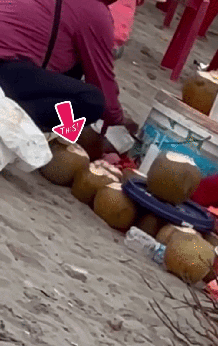 Vụ người phụ nữ gom nước dừa thừa ở bãi biển Ninh Bình: Bất ngờ kết quả xác minh Vụ người phụ nữ gom nước dừa thừa ở bãi biển Ninh Bình: Bất ngờ kết quả xác minh