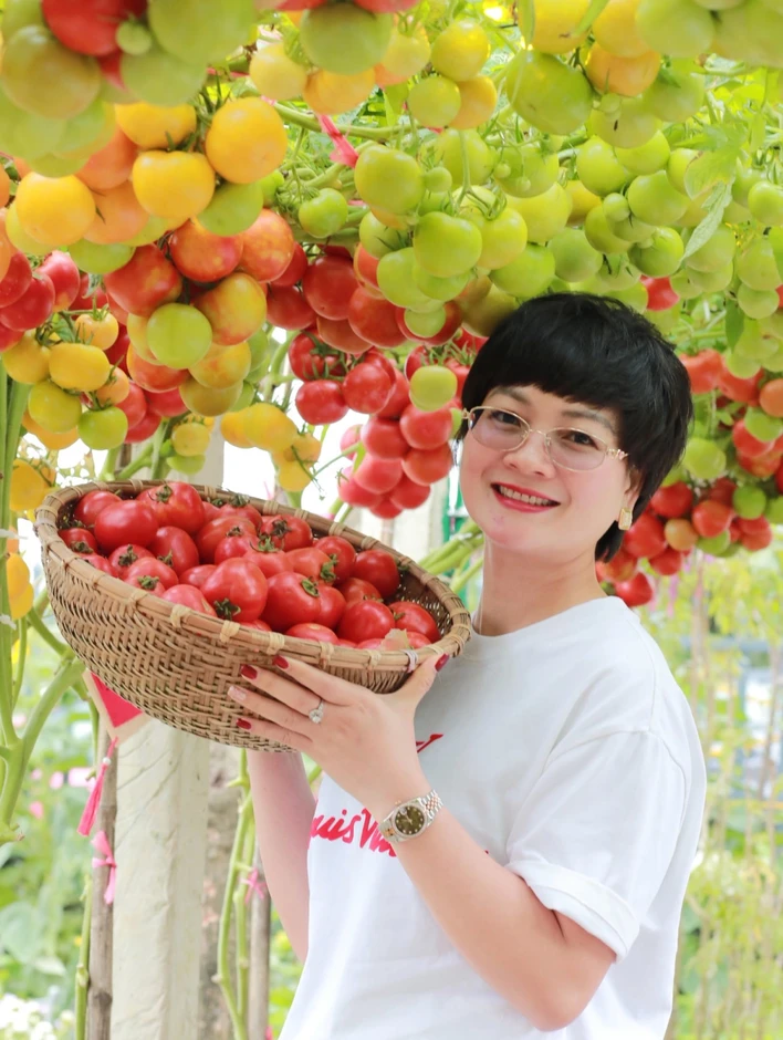 Vườn c&agrave; chua 'đẹp như AI', h&uacute;t h&agrave;ng ngh&igrave;n kh&aacute;ch check-in đầu xu&acirc;n