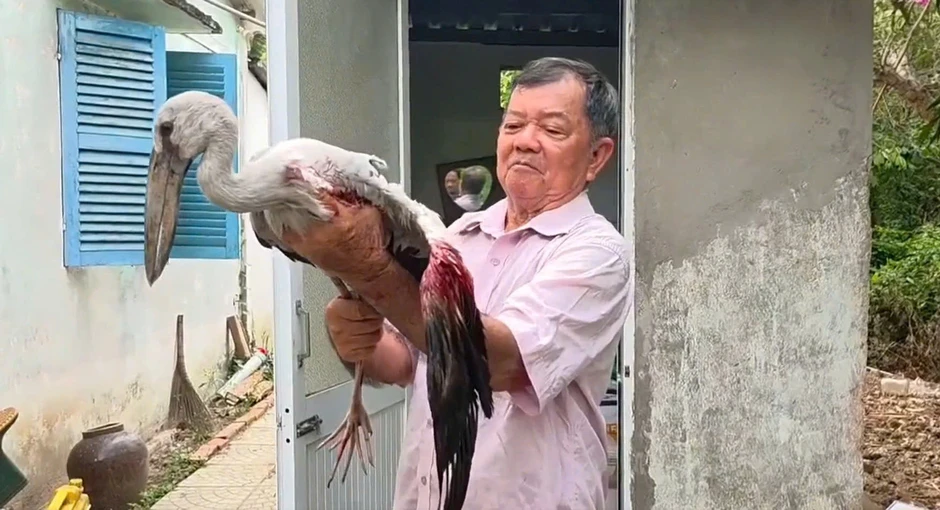 Vườn chim Hai Chìa kêu cứu: Lão nông 80 tuổi bất lực trước nạn săn bắt chim Vườn chim Hai Chìa kêu cứu: Lão nông 80 tuổi bất lực trước nạn săn bắt chim