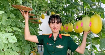 Vườn dưa trĩu quả trên sân thượng của nữ trung tá ở Hà Nội