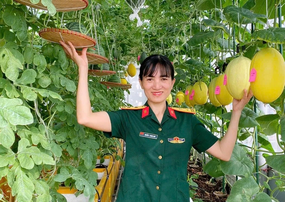 Vườn dưa trĩu quả trên sân thượng của nữ trung tá ở Hà Nội Vườn dưa trĩu quả trên sân thượng của nữ trung tá ở Hà Nội