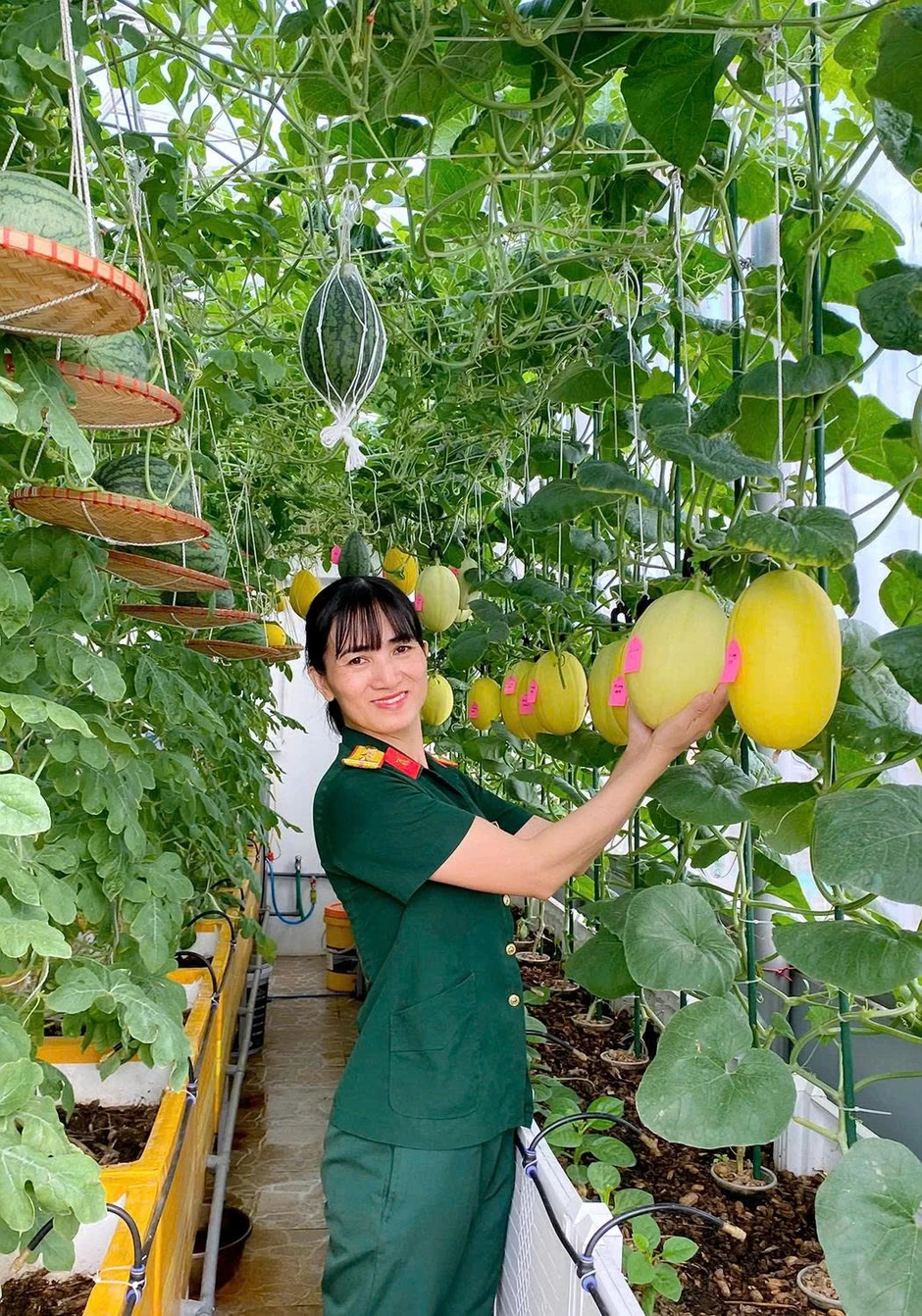 Vườn dưa trĩu quả trên sân thượng của nữ trung tá ở Hà Nội Vườn dưa trĩu quả trên sân thượng của nữ trung tá ở Hà Nội