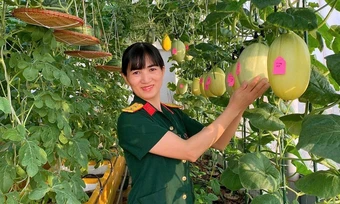 Vườn sân thượng giải nhiệt của nữ trung tá Hà Nội