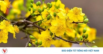 Xuân gieo mầm yêu thương