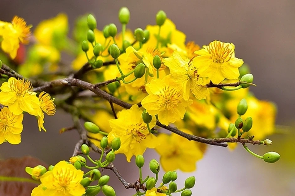 Xuân gieo mầm yêu thương Xuân gieo mầm yêu thương