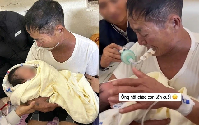 Xúc động cảnh ông nội đeo ống thở, cố bế cháu lần cuối trước khi qua đời: Con dâu chia sẻ chuyện phía sau Xúc động cảnh ông nội đeo ống thở, cố bế cháu lần cuối trước khi qua đời: Con dâu chia sẻ chuyện phía sau