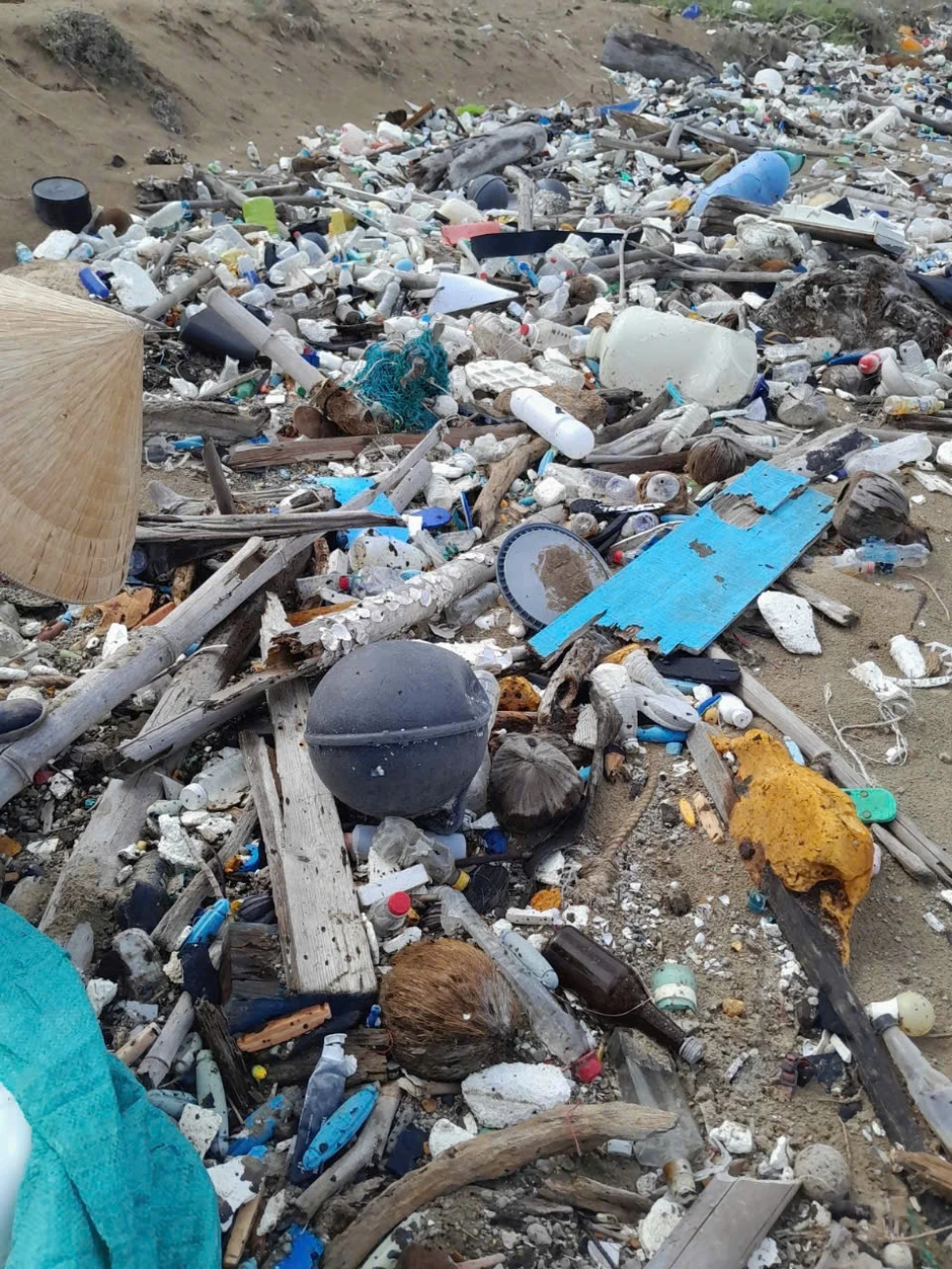 Xúc động khoảnh khắc đồi mồi quý hiếm bò về biển sau khi được giải cứu Xúc động khoảnh khắc đồi mồi quý hiếm bò về biển sau khi được giải cứu