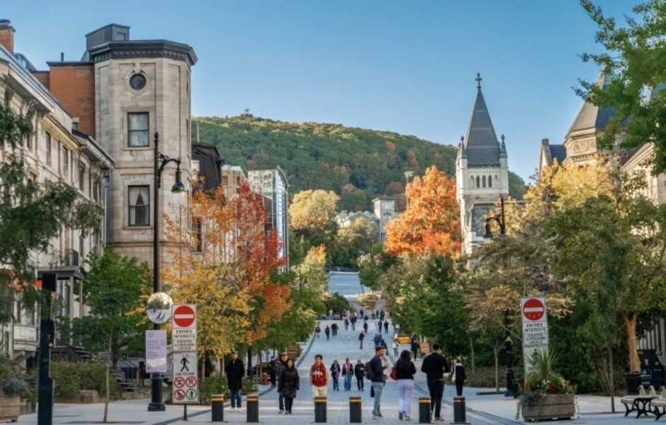 Canada công bố 5 nhóm ngành, nghề mới được ưu tiên định cư Canada công bố 5 nhóm ngành, nghề mới được ưu tiên định cư