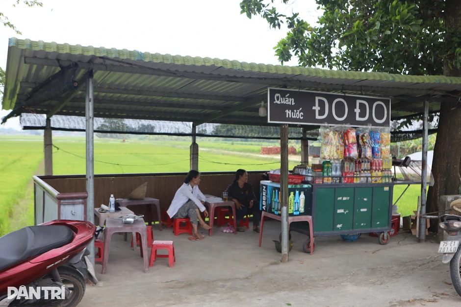 “Cây mắt biếc” từng vào bối cảnh phim Việt gây sốt, giờ ra sao?