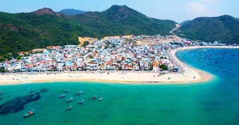 “Làng san hô” thức giấc