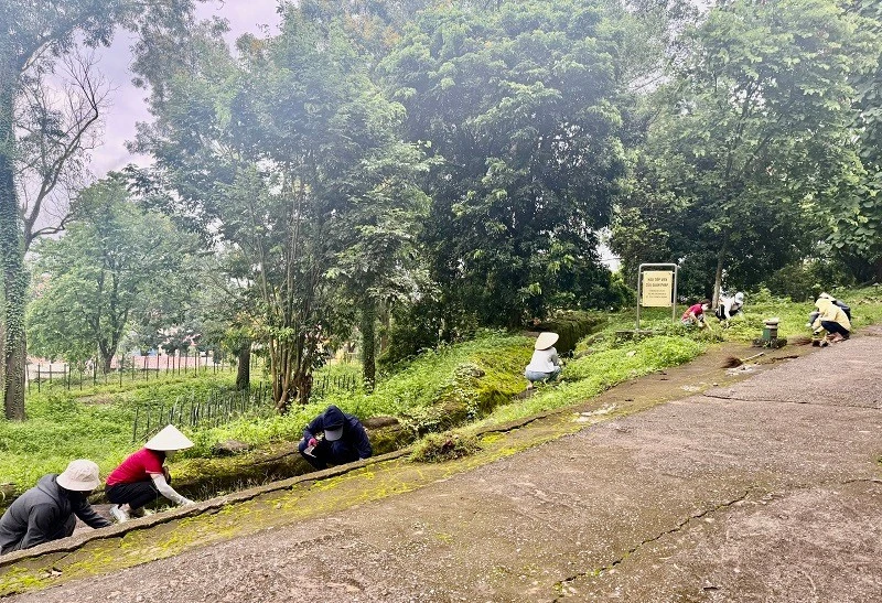 "Chiến dịch xanh" làm đẹp thêm các điểm di tích Chiến trường Điện Biên Phủ