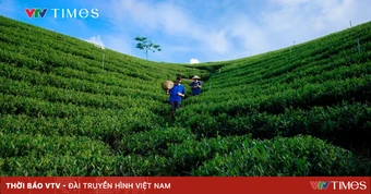 "Đi trốn" ở Đồng Khuân - Điểm du lịch cộng đồng đang gây chú ý tại Thái Nguyên