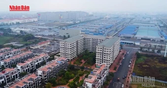 [Video] Cho thuê căn hộ ngắn ngày trong chung cư tại Thành phố Hồ Chí Minh phải đăng ký hoạt động