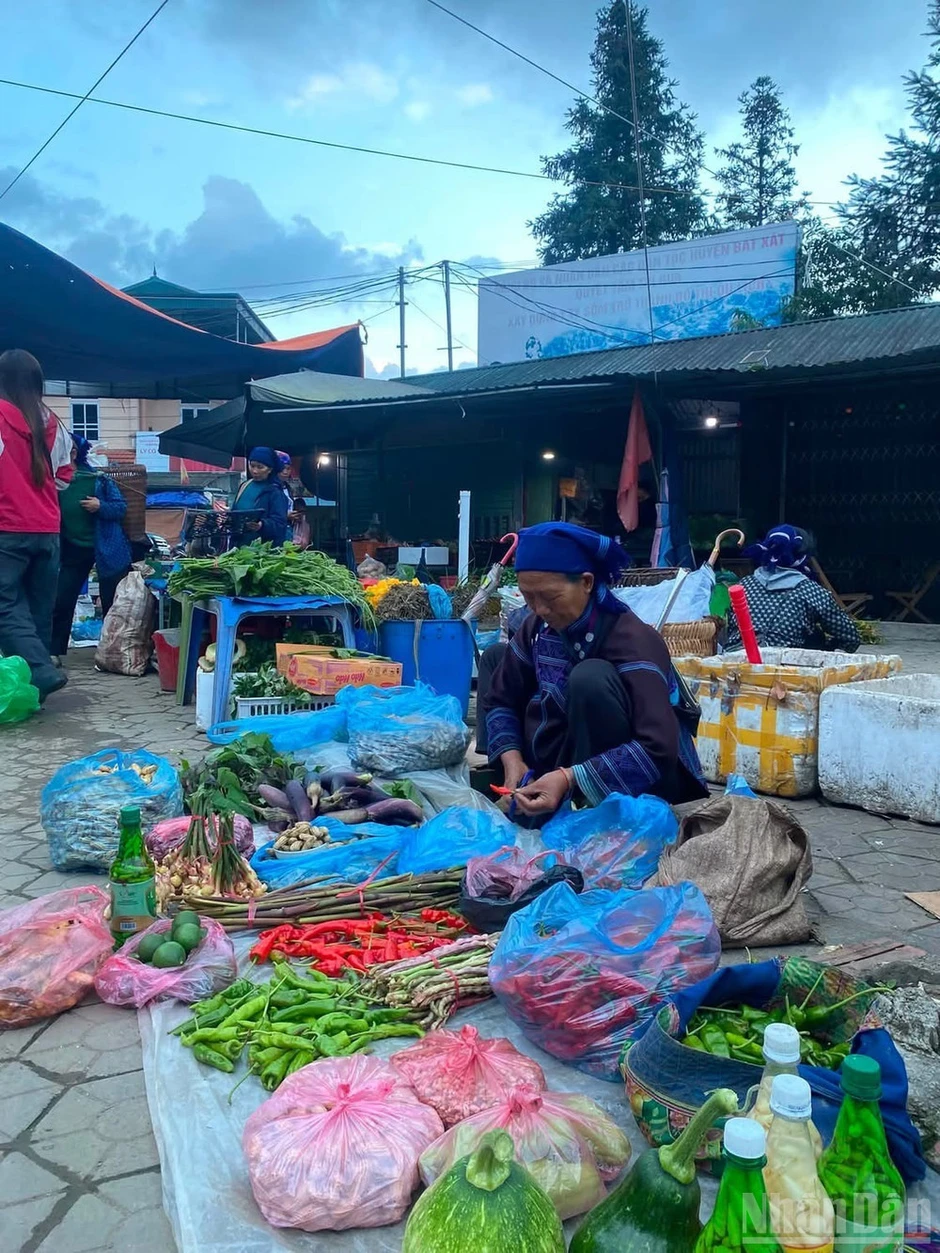 “Y Tý-Sức hút đại ngàn” “Y Tý-Sức hút đại ngàn”