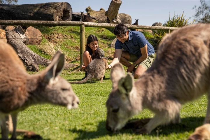 3 tọa độ đẹp say lòng người ở New South Wales không thể bỏ lỡ khi đến Australia 3 tọa độ đẹp say lòng người ở New South Wales không thể bỏ lỡ khi đến Australia