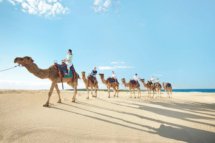 3 tọa độ đẹp say lòng người ở New South Wales không thể bỏ lỡ khi đến Australia 3 tọa độ đẹp say lòng người ở New South Wales không thể bỏ lỡ khi đến Australia