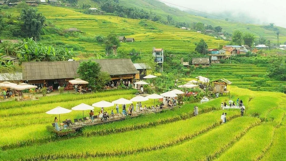 7 quán cà phê 'bao trọn' ruộng lúa chín ở Sa Pa