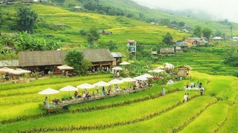 7 quán cà phê 'bao trọn' ruộng lúa chín ở Sa Pa