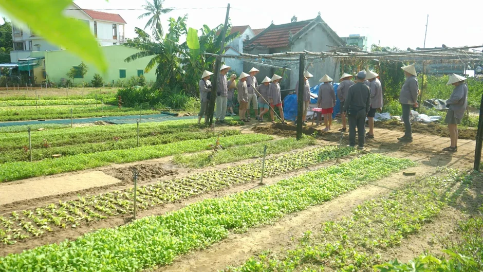 7 trải nghiệm giúp du khách cảm nhận trọn vẹn vẻ đẹp Hội An 7 trải nghiệm giúp du khách cảm nhận trọn vẹn vẻ đẹp Hội An