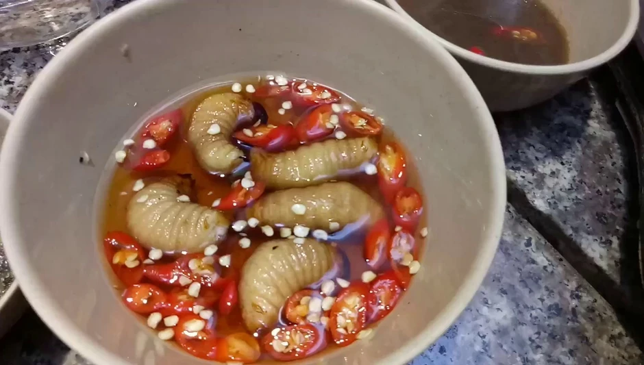 Ăn đuông dừa sống lúc nhúc, chàng trai Đức nhận cái kết bất ngờ
