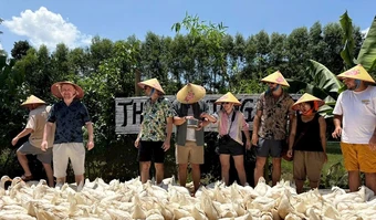 Bồng Lai, hương đồng gọi bước