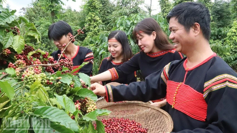 Buôn Ma Thuột được National Geographic vinh danh là một trong những điểm đến ẩm thực tốt nhất thế giới