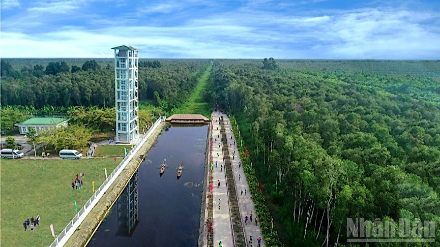 Cà Mau thông qua quy hoạch chuyên đề nhằm đánh thức “kho báu” xanh ở miệt rừng U Minh Cà Mau thông qua quy hoạch chuyên đề nhằm đánh thức “kho báu” xanh ở miệt rừng U Minh