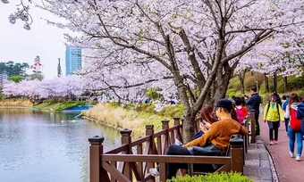 Các điều kiện giúp khách Việt xin được visa Hàn Quốc 10 năm