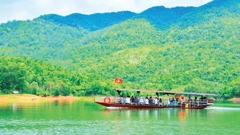 Cấm Sơn xanh hơn