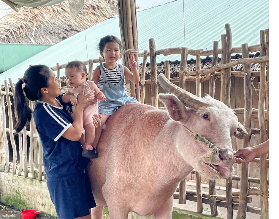 Cần Thơ: Du lịch sinh thái "thắng lớn" dịp hè Cần Thơ: Du lịch sinh thái "thắng lớn" dịp hè