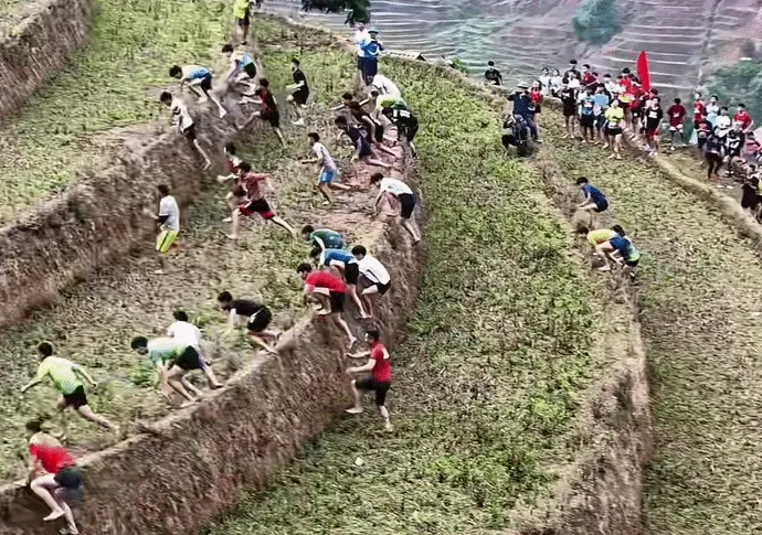 Cảnh hàng trăm du khách leo thửa ruộng bậc thang tại Mù Cang Chải gây sốt Cảnh hàng trăm du khách leo thửa ruộng bậc thang tại Mù Cang Chải gây sốt