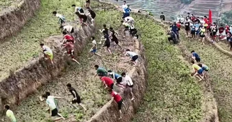 Cảnh hàng trăm du khách leo thửa ruộng bậc thang tại Mù Cang Chải gây sốt