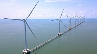 Cầu trên biển cho khách ngắm cánh đồng điện gió ở Cà Mau