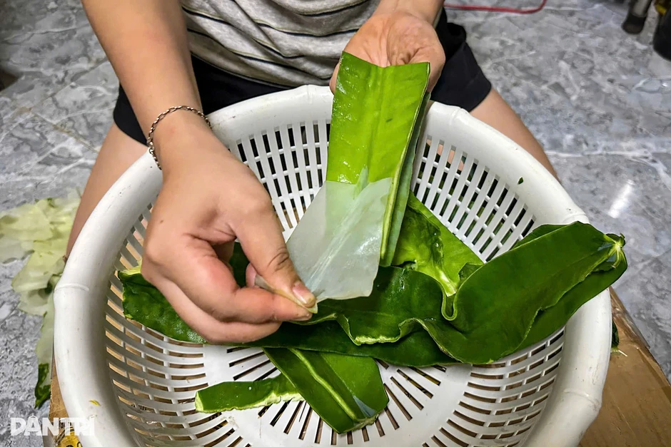Cây gai góc, ai cũng ngại đụng lại thành món lạ đãi khách quý ở Đà Nẵng Cây gai góc, ai cũng ngại đụng lại thành món lạ đãi khách quý ở Đà Nẵng