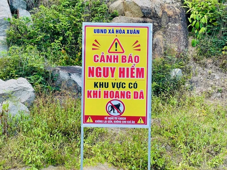 Chính quyền phải cắm biển cảnh báo khỉ hoang trên đường ven biển gần Mũi Điện Chính quyền phải cắm biển cảnh báo khỉ hoang trên đường ven biển gần Mũi Điện