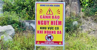 Chính quyền phải cắm biển cảnh báo khỉ hoang trên đường ven biển gần Mũi Điện