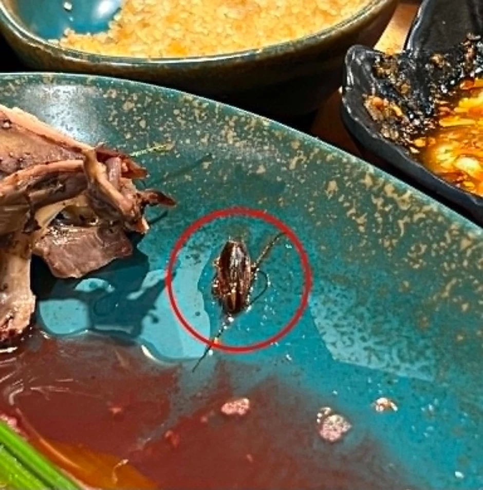 Cô gái Hà Nội tố có gián trong nước ép, chủ quán nói "không biết từ đâu" Cô gái Hà Nội tố có gián trong nước ép, chủ quán nói "không biết từ đâu"