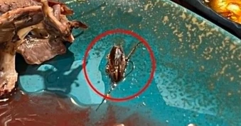 Cô gái Hà Nội tố có gián trong nước ép, chủ quán nói "không biết từ đâu"