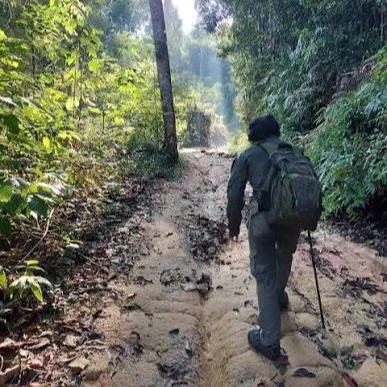 Cô gái lạc trong rừng ở Malaysia 14 ngày, sống nhờ uống thứ nước lạ Cô gái lạc trong rừng ở Malaysia 14 ngày, sống nhờ uống thứ nước lạ