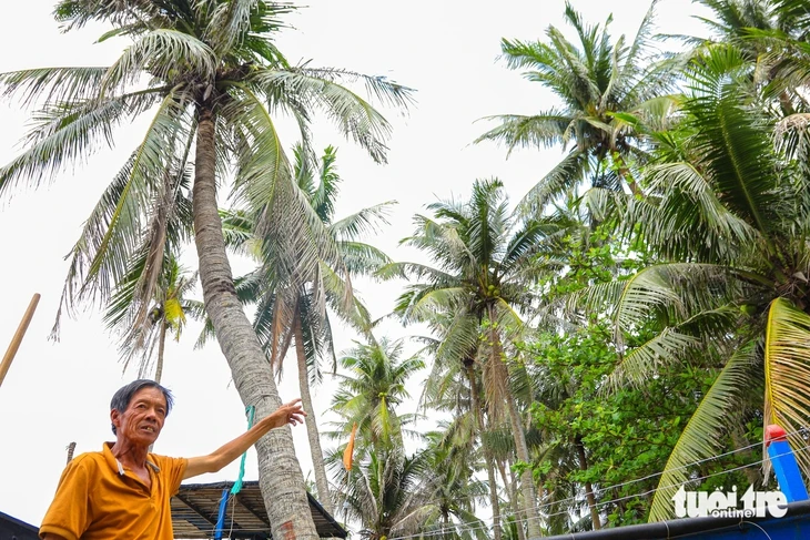Có một xã đảo rợp bóng dừa đẹp như tranh tại Đà Nẵng Có một xã đảo rợp bóng dừa đẹp như tranh tại Đà Nẵng