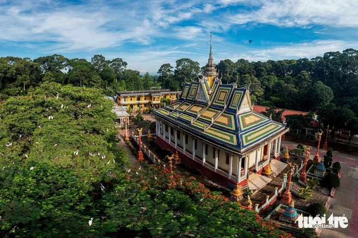Cò trắng về chùa Hang, hàng ngàn con phủ kín tán cây ở Vĩnh Long Cò trắng về chùa Hang, hàng ngàn con phủ kín tán cây ở Vĩnh Long