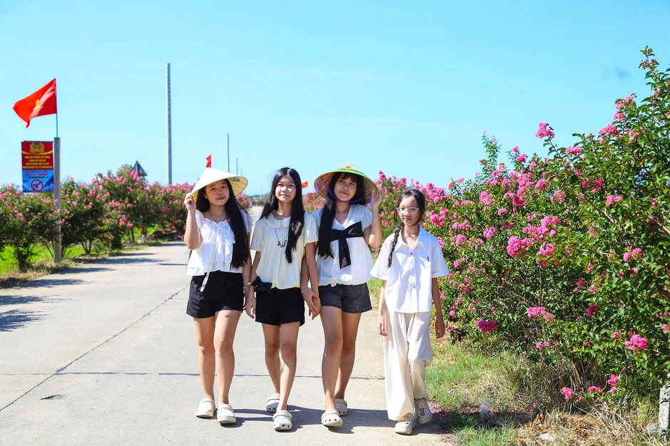Con đường hoa tường vi nở rực dài cả cây số thu hút du khách check-in