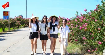 Con đường hoa tường vi nở rực dài cả cây số thu hút du khách check-in